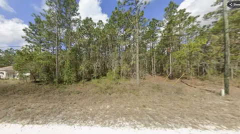 Residential Land in Weeki Wachee