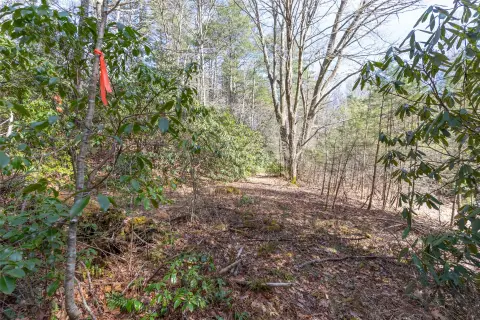 Land Parcel in Highlands, NC