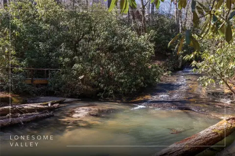 Lonesome Valley Homesite in Sapphire