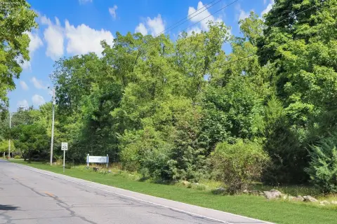 Wooded Commercial Land