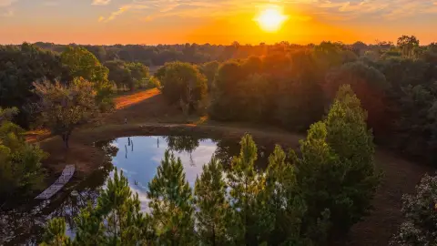 Hunting Land with Waterfowl Habitat