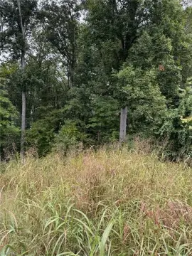 Residential Lot in Sherwood Forest