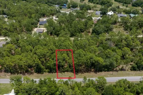 Wooded Residential Homesite