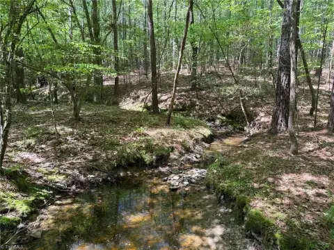 Seagrove Land with Mature Timber