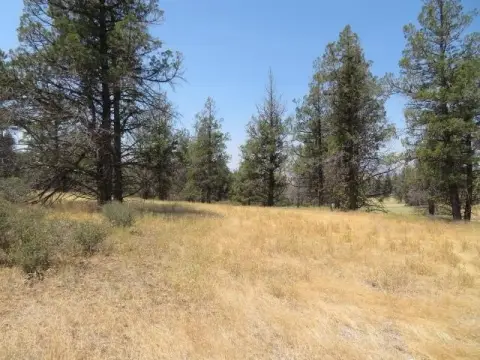 Usable Lot in Hornbrook, CA