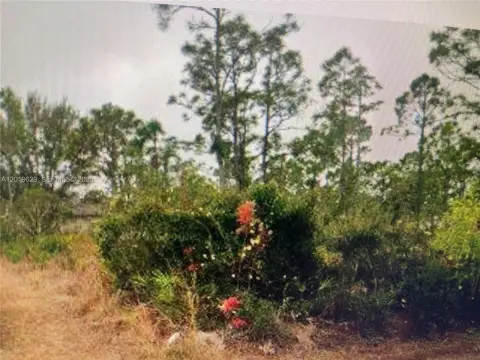 Residential Land in Punta Gorda