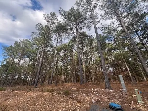 Wooded Lot in Broken Bow