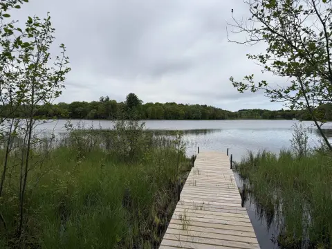 Buildable Wooded Lot on Lake