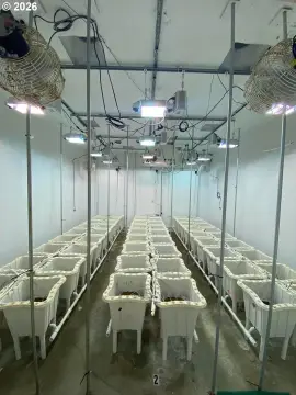 Indoor Cannabis Production Facility
