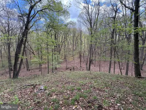 Land with Well and Septic