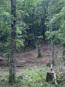 Residential Lot in Niota, TN