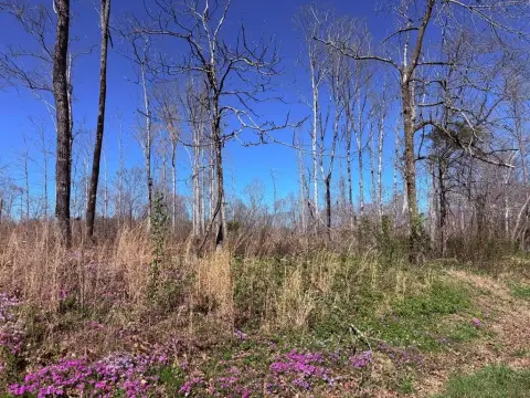 Land For Sale, Sparta, TN