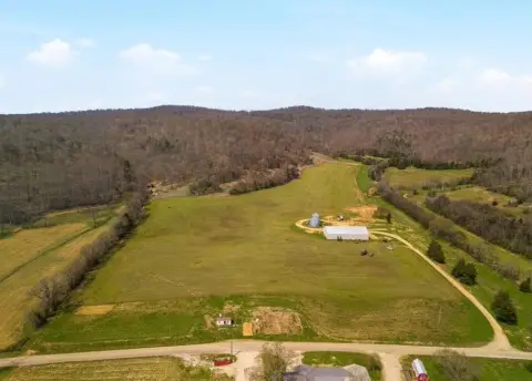 Hickory Valley Farmland Auction