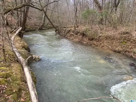 Land with Creek Access