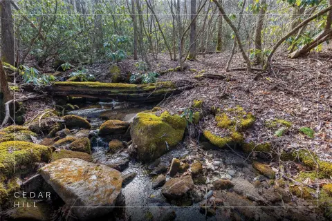 Cashiers Land with Multiple Streams