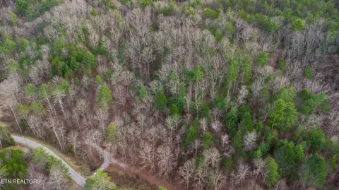 Unrestricted Land Near Cherokee Forest