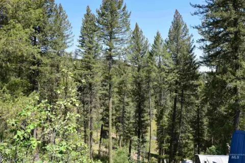 Wooded Mountain-Ready Land Lot