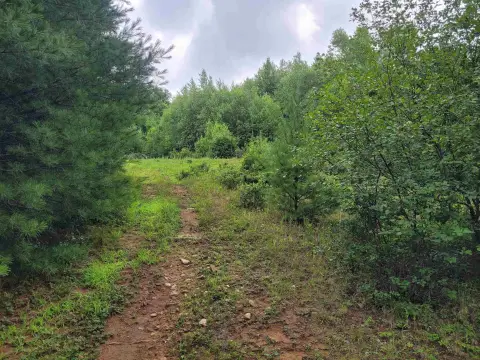 Recreational Hunting Land with Privacy