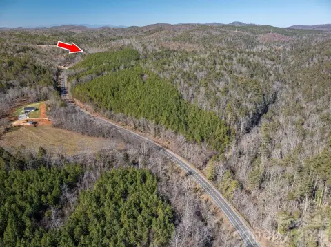 Timber and Recreation Land Tract