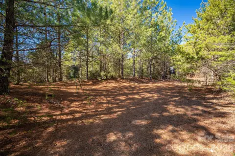 54-Acre Tract in Burke County