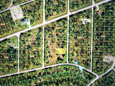 Cleared Land in Punta Gorda