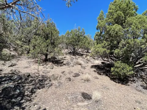 Residential Lot with Mountain Views
