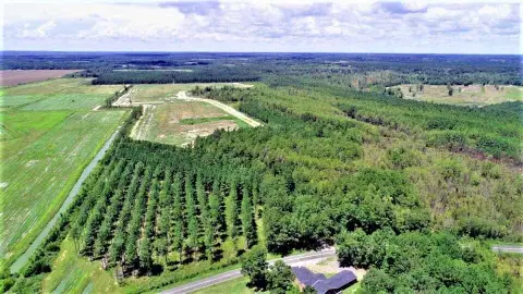 193 Acres Hunting Land, Summerton