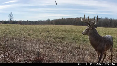 Agricultural and Hunting Land Tract