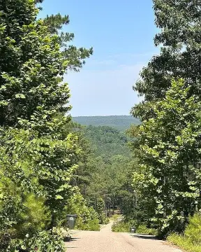 Residential Homesite on Cul-de-Sac