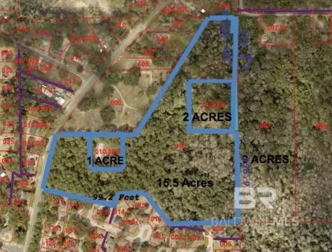 27.8 Acres in Mobile City