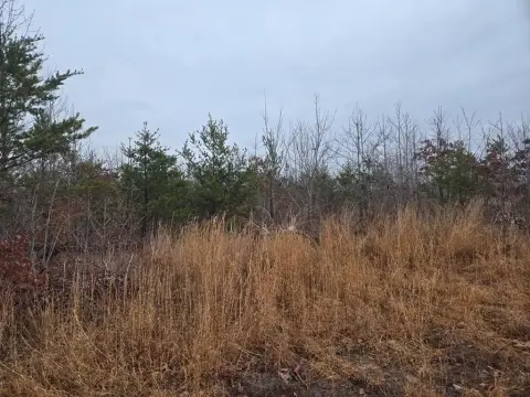 Agricultural Land Tract