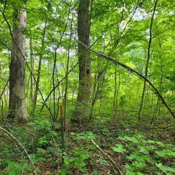 Waterview Homesite in Growing Community