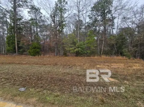 7 Acres Wooded Land