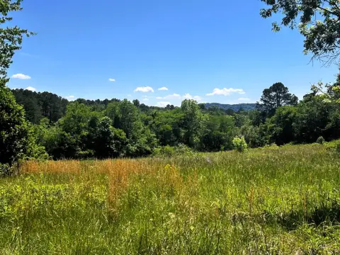 Decatur, TN Land Opportunity
