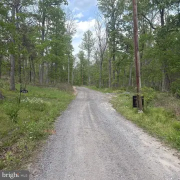 4.67 Acres Wooded Mountain Land