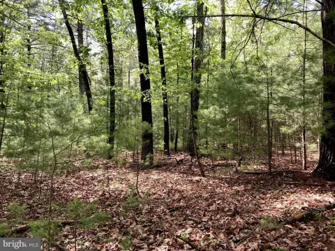 Level Wooded Lot For Sale