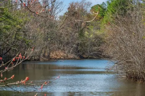 261 Acres on Rocky River