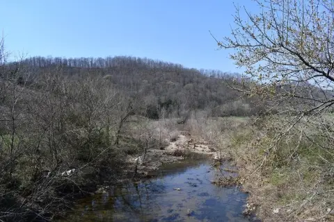 Land Near Dale Hollow Lake