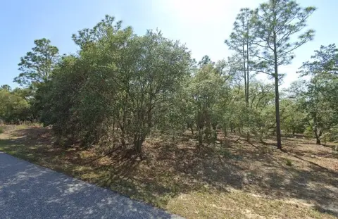 Vacant Land in Citrus Springs