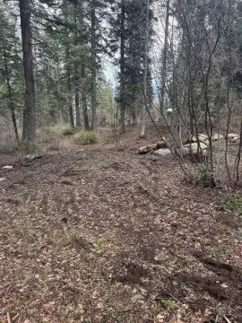 Adventure-Ready Lot in Cascade, Idaho