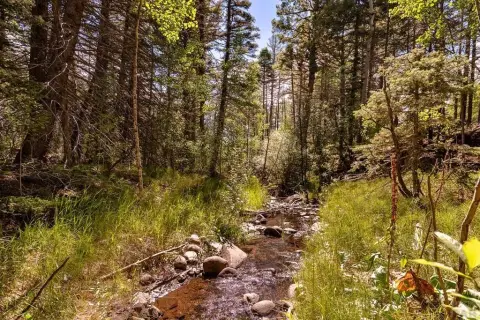 Colorado Mountain Land For Sale