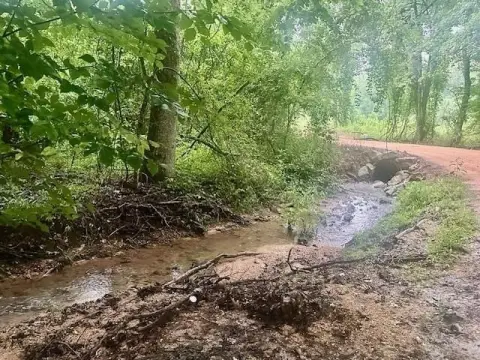 48 Acres in Savannah, TN