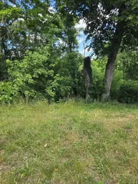 Vacant Residential Buildable Lot