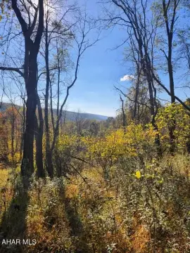 Wooded Hunting Land with Pond