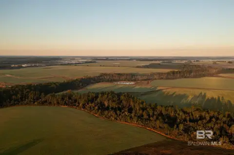 Land with Creek and Timberland