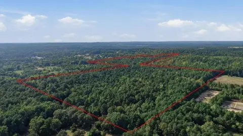 Wooded Hunting Land