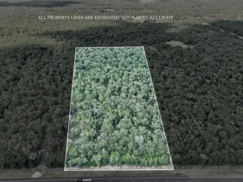 Wooded Land Tract
