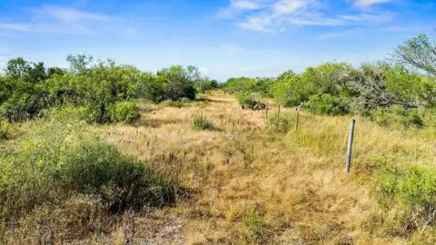 Fenced Hunting Land
