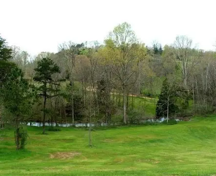 Residential Land in Birchwood, TN