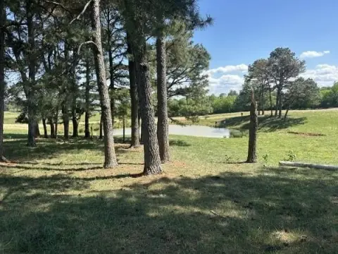 5-Acre Residential Land in Sparta